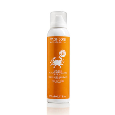 Vagheggi Sun Self-Tan Body Mousse 150ml — Autobronceadores Vagheggi Sun Self-Tan Body Mousse 150ml — Autobronceadores
